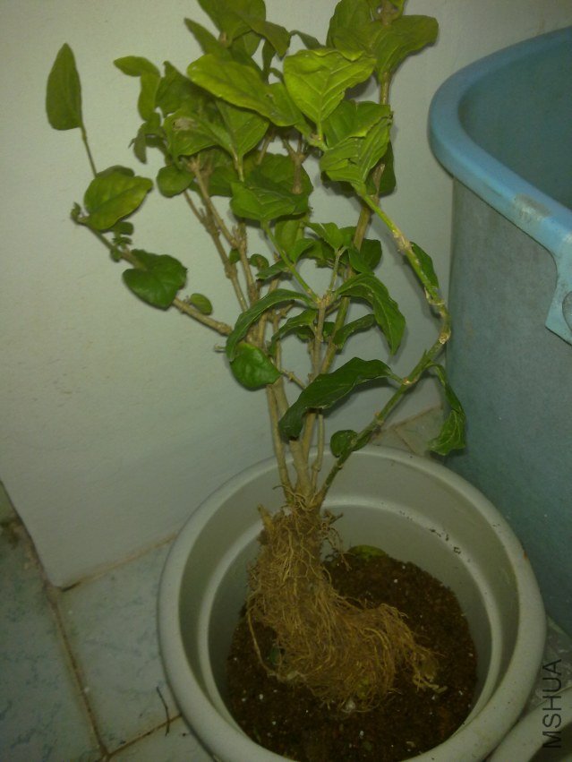 20120405825.jpg