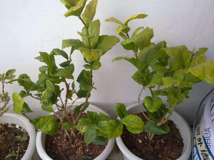 20120409833.jpg