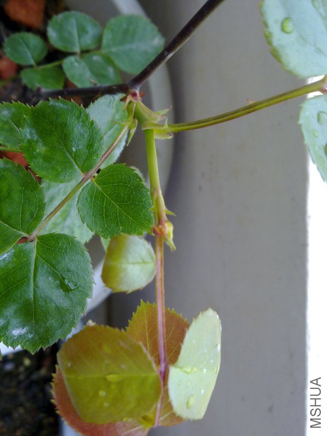 20120409840.jpg