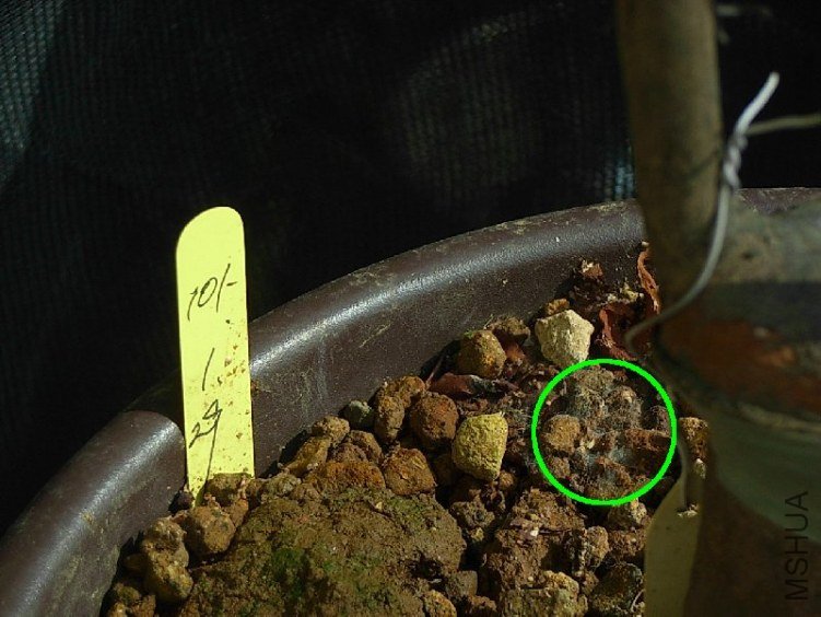 1��29�ՓQ��.�AȦȦ����ʹ���������a���ľ��z