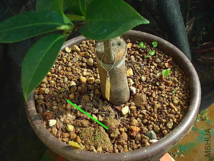 ���޸���.�x���A�����ᷢչ���g