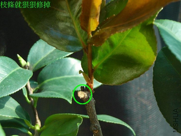 ֦���޹�����ѿ���ִ�