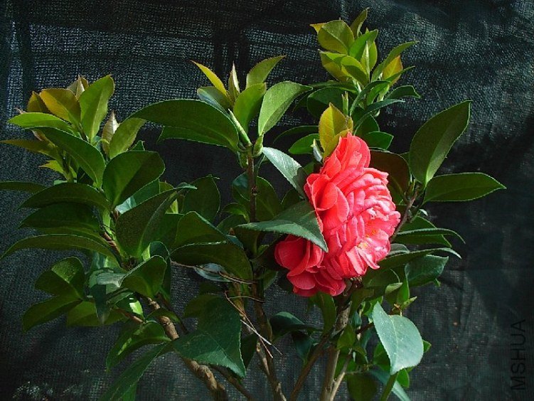 ���^2����.������Ȼ.�����Ļ���Ҳ����