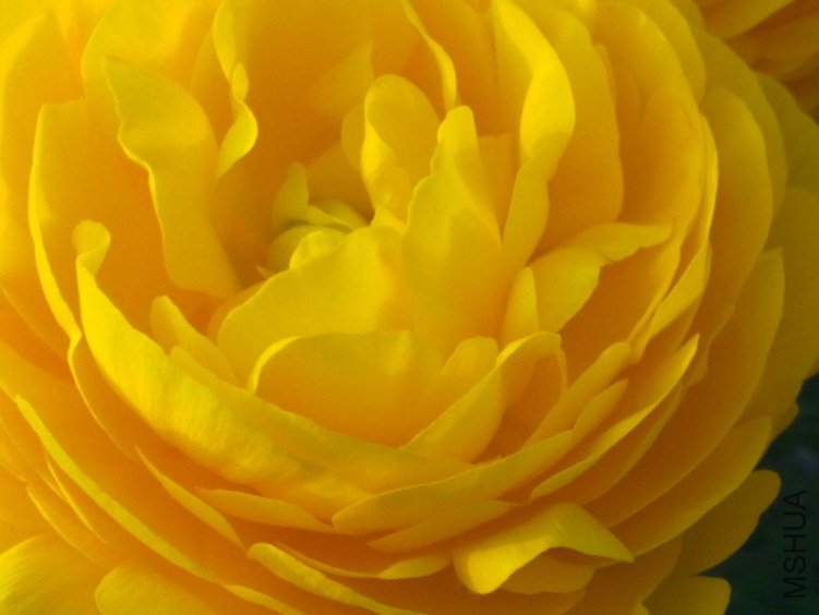 20120408597.jpg