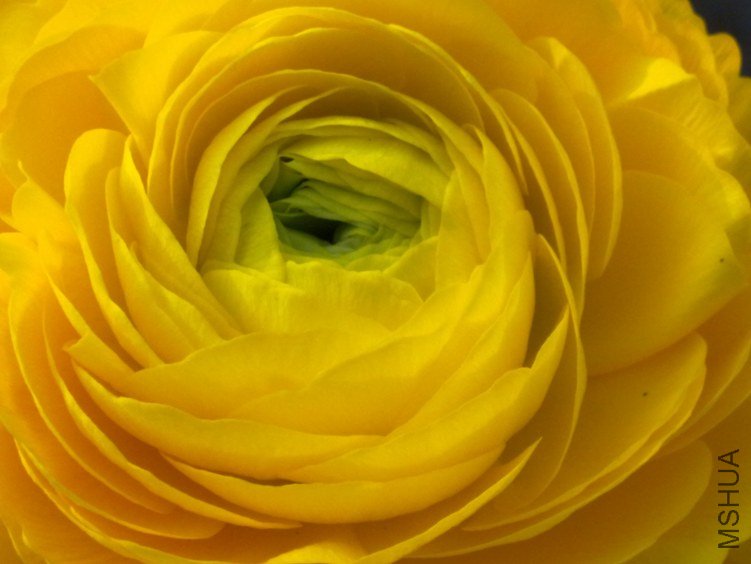 20120408598.jpg