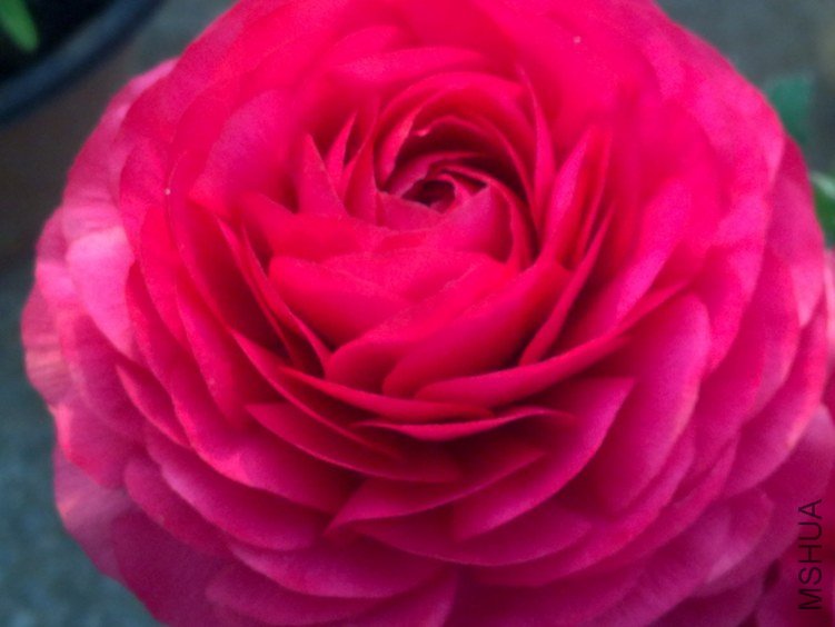20120408599.jpg