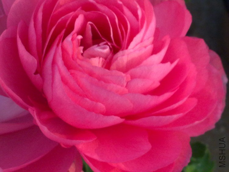 20120408601.jpg