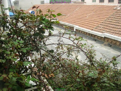 nEO_IMG_��Ƭ 044.jpg