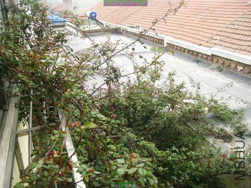 nEO_IMG_��Ƭ 048.jpg