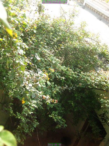 nEO_IMG_��Ƭ 233.jpg