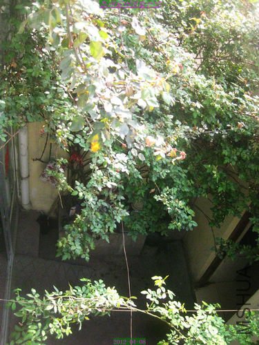 nEO_IMG_��Ƭ 232.jpg