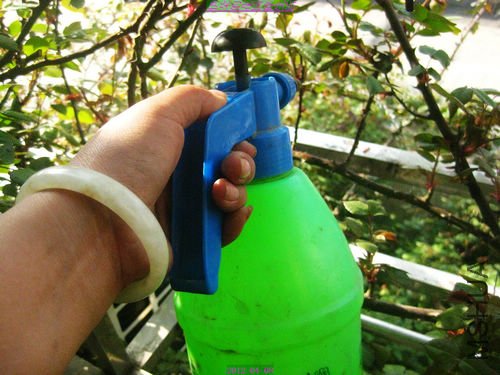 nEO_IMG_��Ƭ 236.jpg