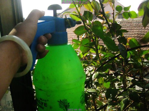 nEO_IMG_��Ƭ 210.jpg