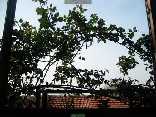 nEO_IMG_��Ƭ 215.jpg