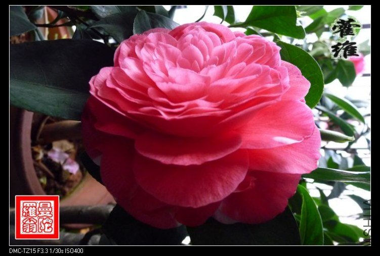 ޽ά11.jpg