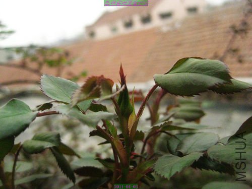 nEO_IMG_��Ƭ 045.jpg