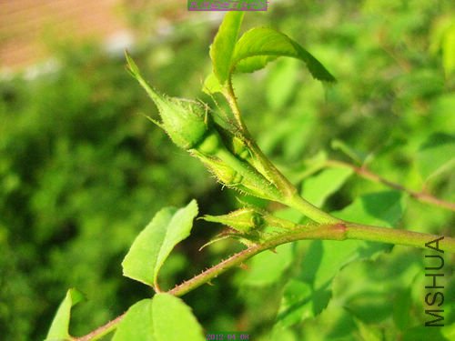 nEO_IMG_��Ƭ 235.jpg