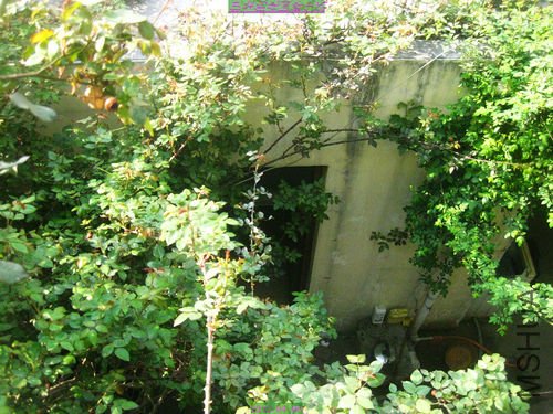 nEO_IMG_��Ƭ 226.jpg