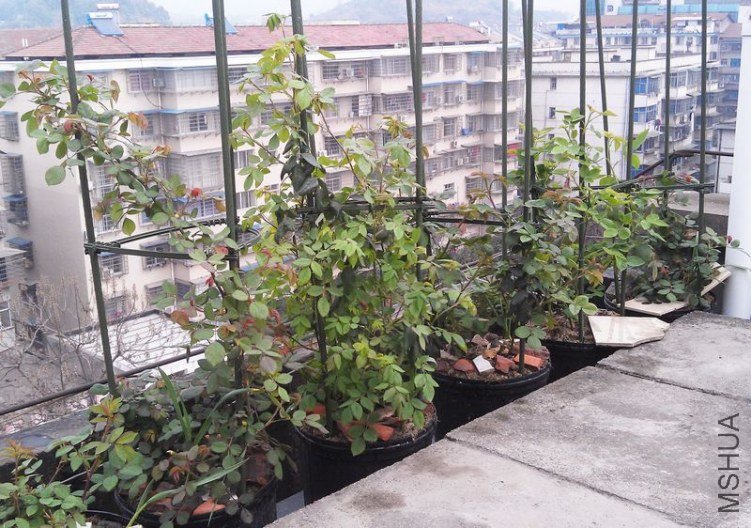 IMAG0089.jpg
