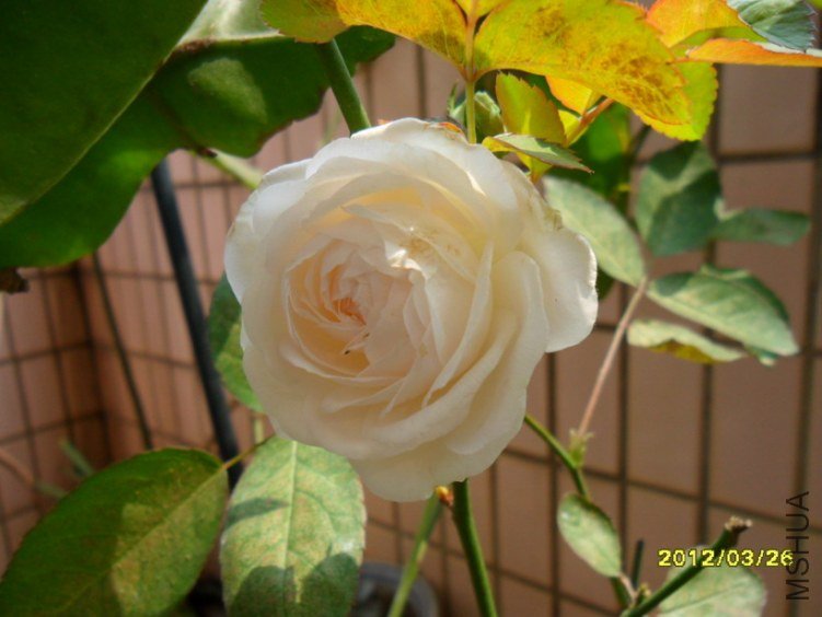 SAM_1540.JPG