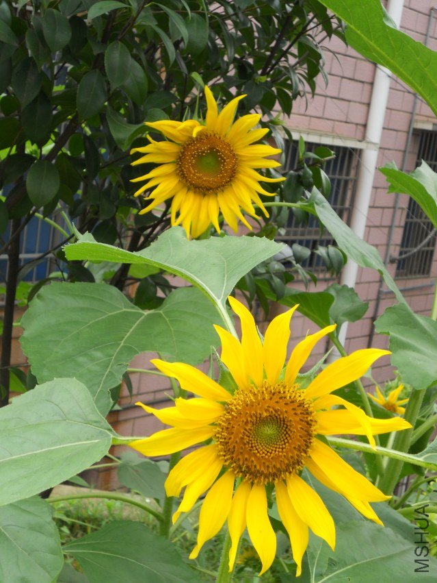 ��Ƭ 005.jpg