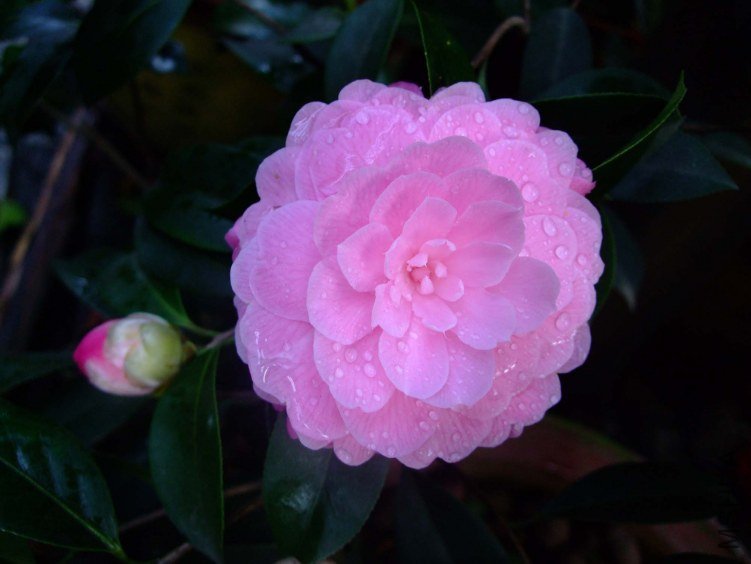 ��Ħ�� 2012-4-10f 007.jpg