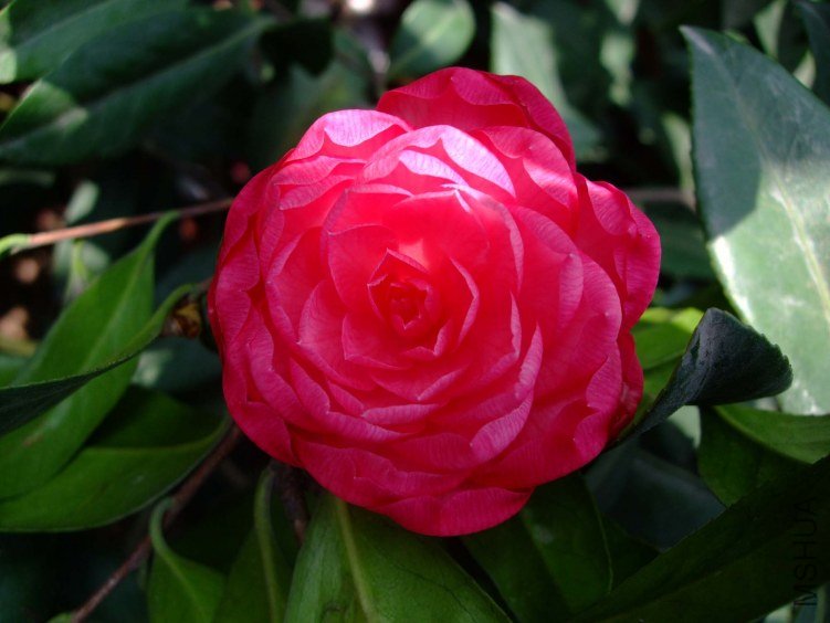 ̫���� 2012-4-10f 086.jpg