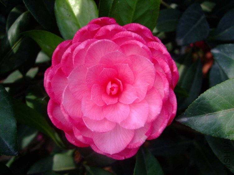 ̫���� 2012-4-10f 028.jpg