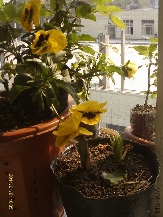 ��Ҳ������ת�Ĳ����۰�