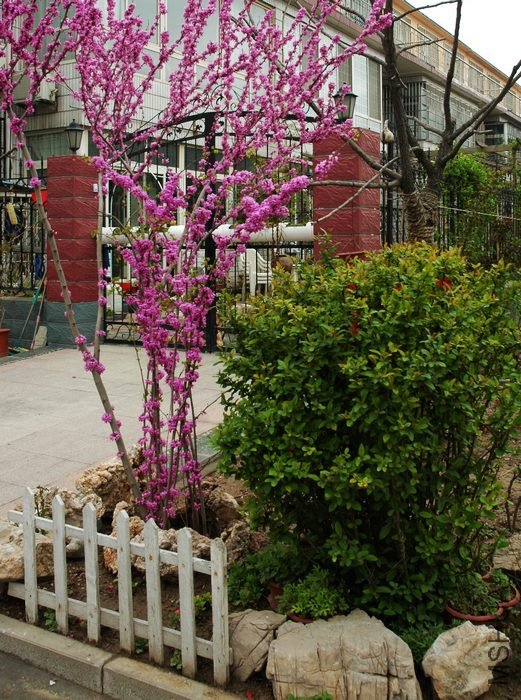 ��ǰ���Ͼ����翪��