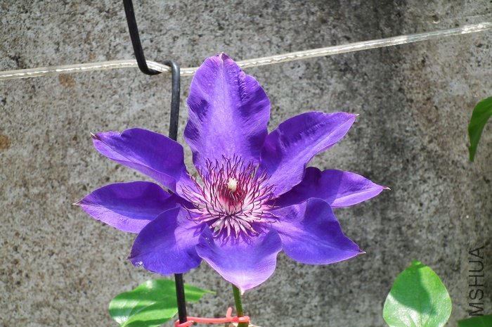 DSCF4669.JPG