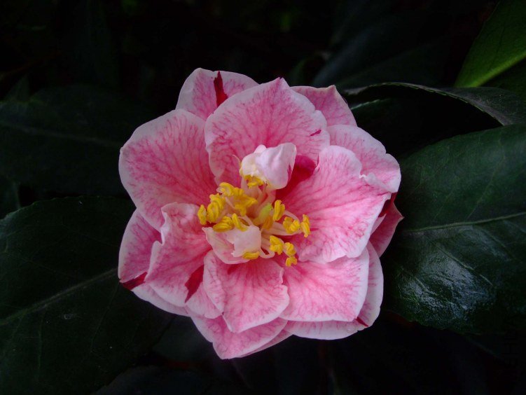 ���� 2012-4-11f 068.jpg