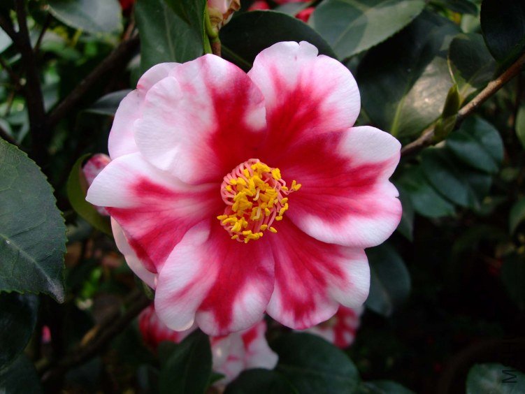 ����֮�� 2012-4-11f 158.jpg