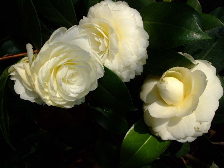 �ƴ� 2012-4-11f 122.jpg