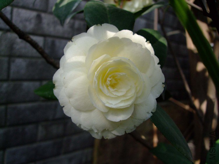 �ƴ� 2012-4-11f 120.jpg