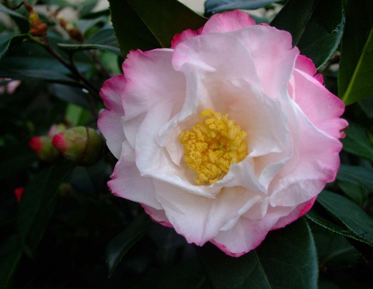 ʥ�� 2012-4-11f 051.jpg