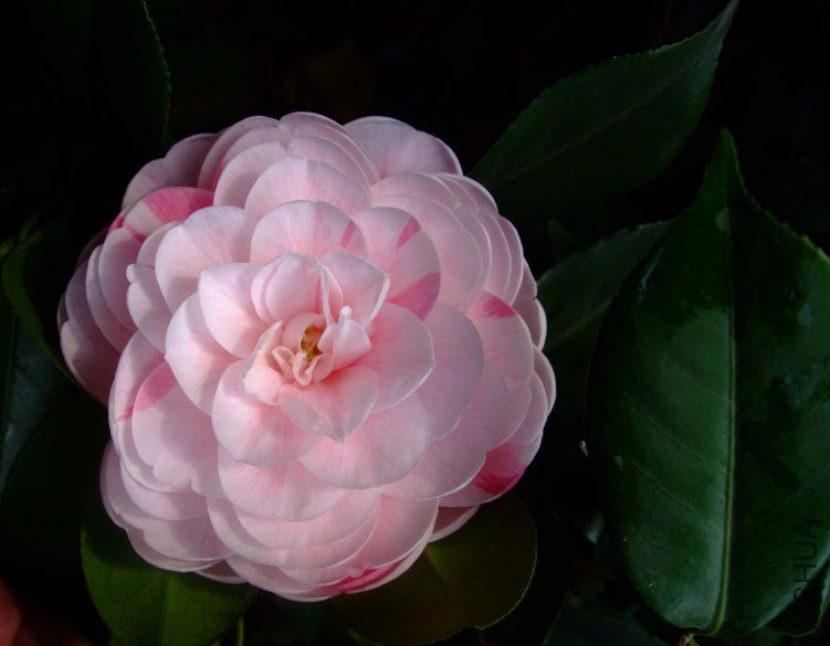 ���� 2012-4-11f 069.jpg