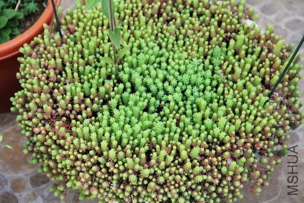 730f7ca6nbcf91a317e18&690.jpg