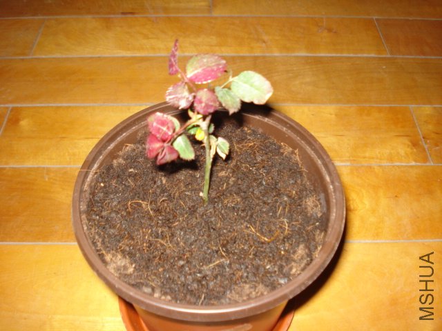DSC00813.JPG