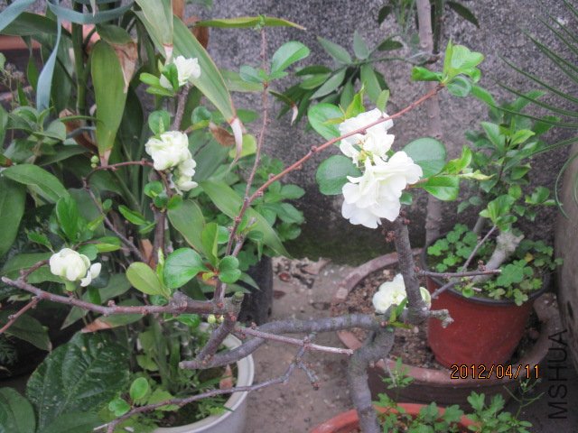 IMG_2459.jpg