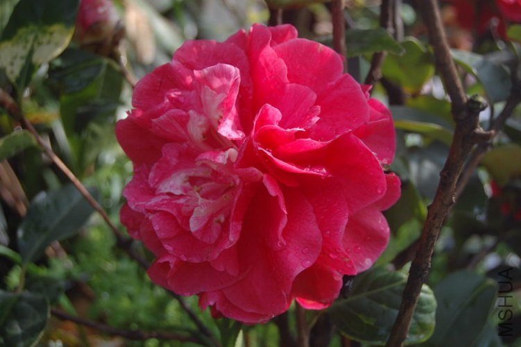 DSC_00220022.JPG