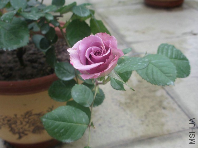 ��Ƭ 049.jpg