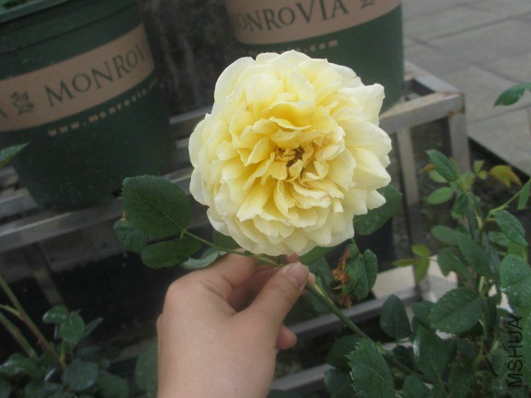 ��Ƭ 044.jpg