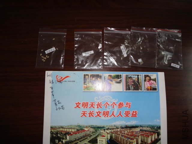 DSC00206.JPG