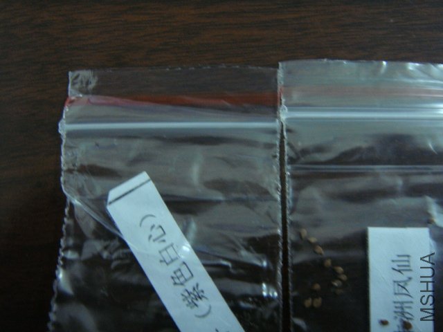 DSC05292.JPG