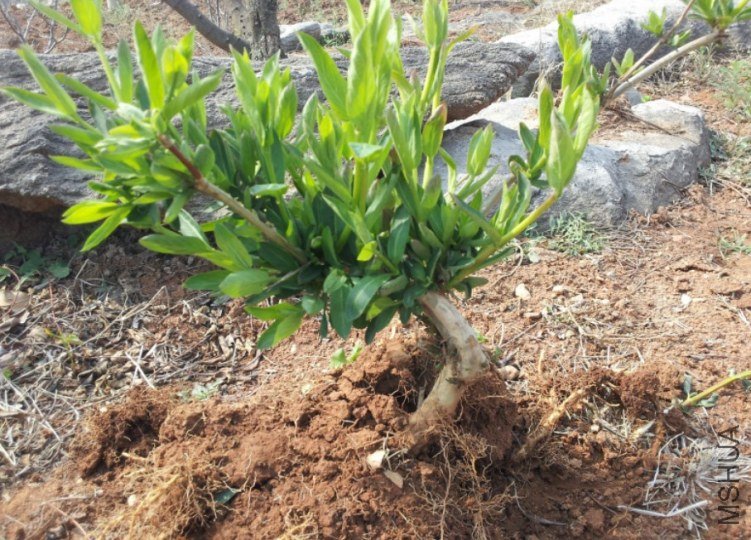 QQ��ͼ20120412163642.jpg