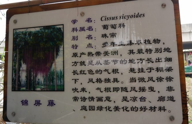 P1010510.jpg
