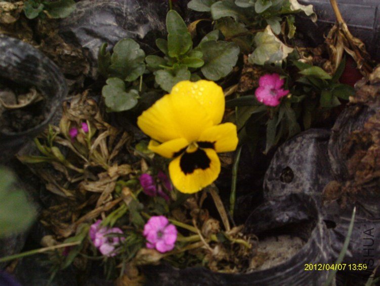 IMAG0448.JPG