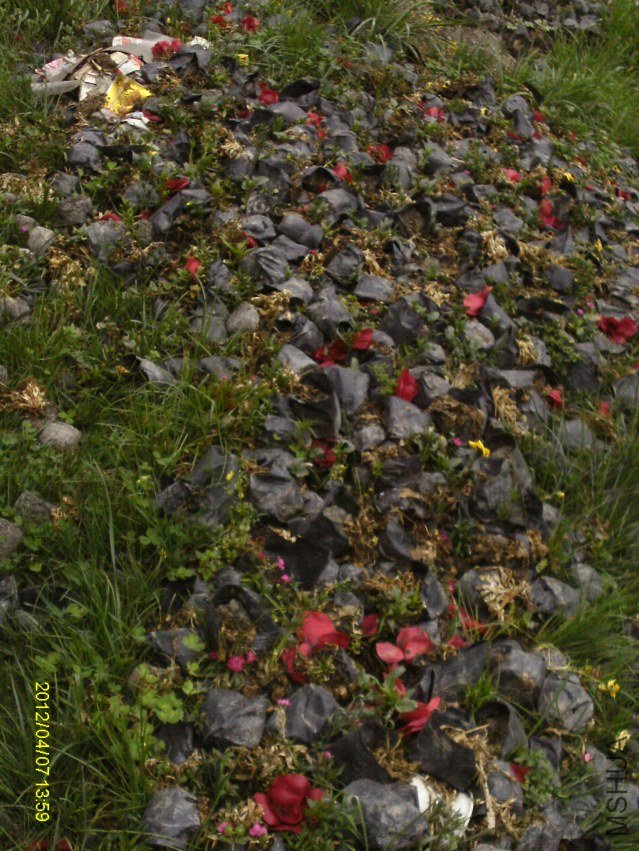 IMAG0447.JPG