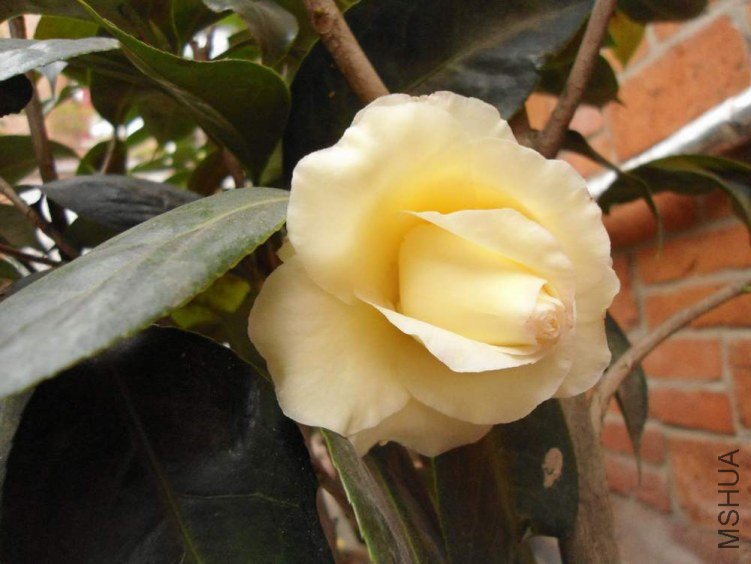 DSC00130.JPG